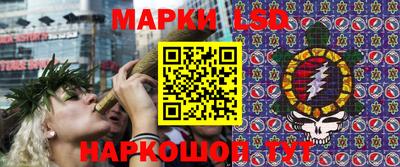 mdma Аргун